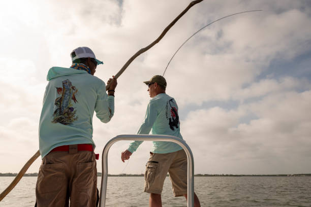 un guide de pêche enseigne un pêcheur à la mouche sur la technique de pêche à l'os au belize, amérique centrale. - bonefish photos et images de collection