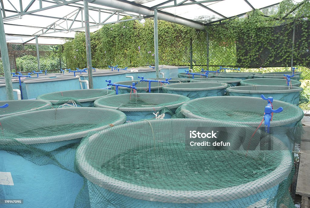 Aquaculture farm with blue containers and water pipes Agriculture aquaculture water system farm Aquaculture Stock Photo