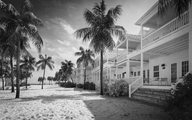 istock Tropical Tourist Resort (Noir) 1191471868