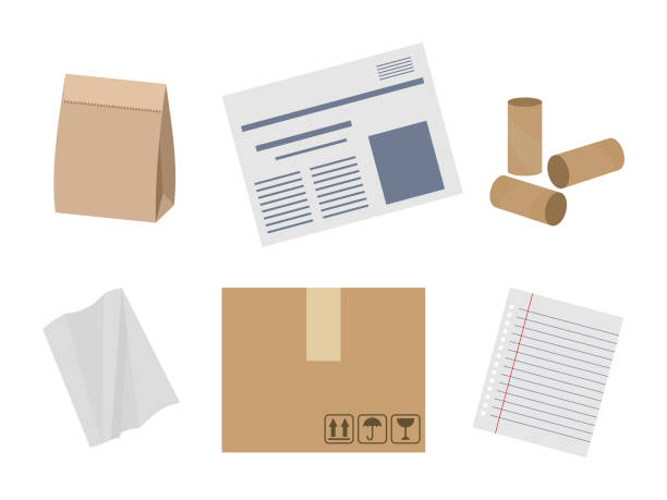 Paper waste suitable for recycling. Food bag, newspapers, cardboard, paper sheet, paper roll. Set of different paper items. Isolated on white background. Vector illustration, flat style. Paper garbage that can be recycled carton illustrations stock illustrations