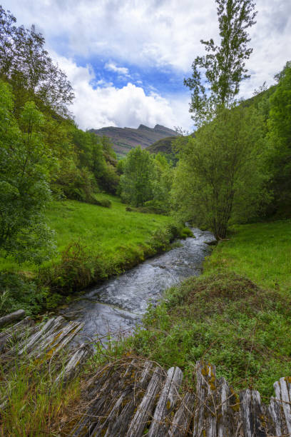 istock Old wooden bridge over a mountain river 1191475553