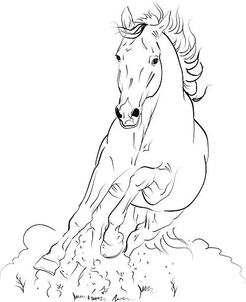 Vector illustration of vector horse