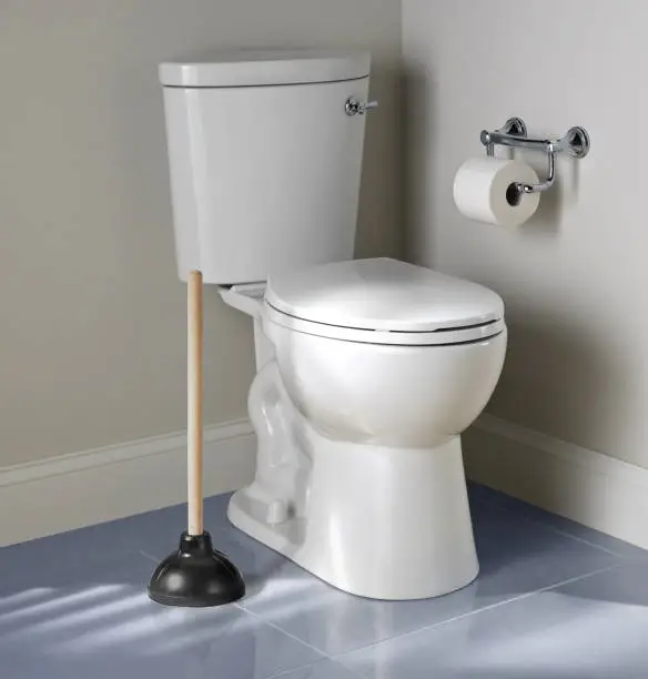 Toilet flange plunge beside a toilet seat