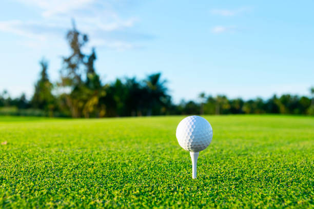 istock Golf ball on tee on golf course over a blurred green field at the sunset. Golf ball on tee over a blurred green field. 1191484903