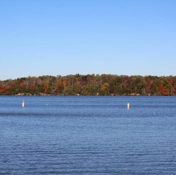 istock Autumn View at Lake 1191489531