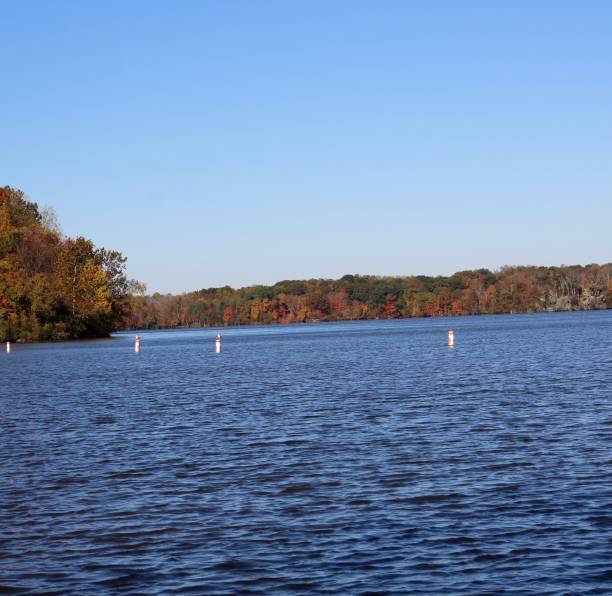 istock Ripples and Waves at Lake 1191489536