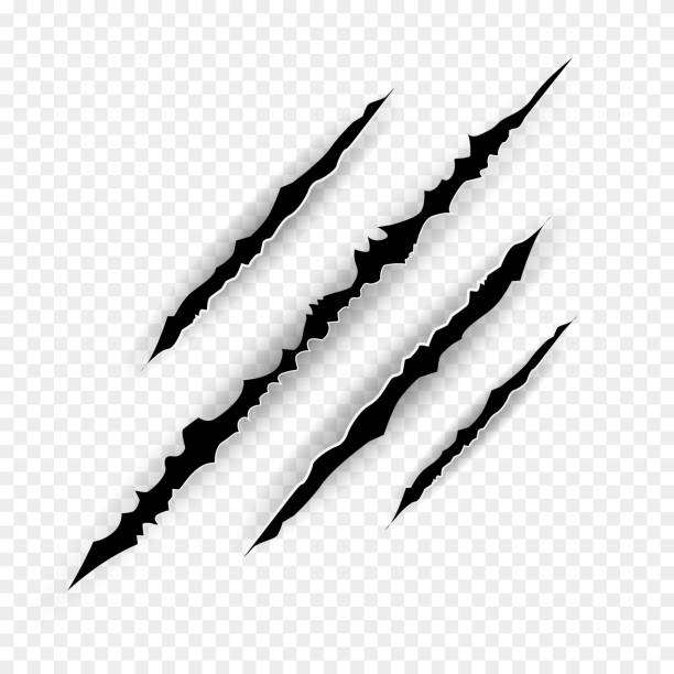 Web Claws scratches - vector isolated on transparent background.  Vector bear or tiger paw claw scratch trace. Shredded paper.Halloween monster, horror marking vector scratching set. Claw marks. scar stock illustrations