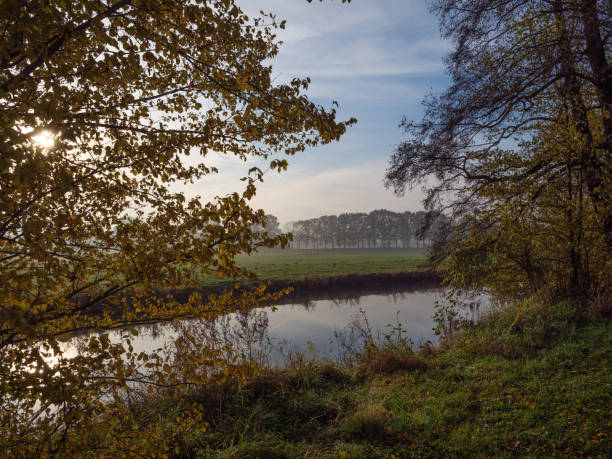 istock autumn at a river in germany 1191495611