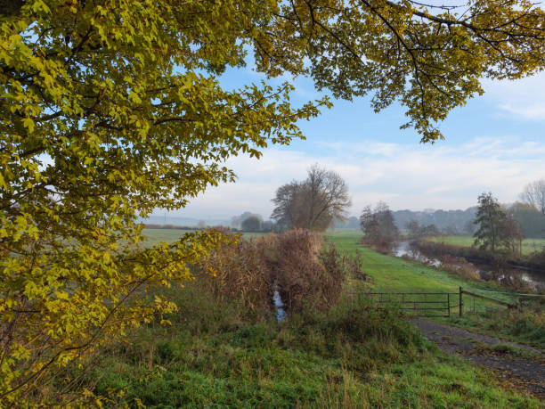 istock autumn at a river in germany 1191495647