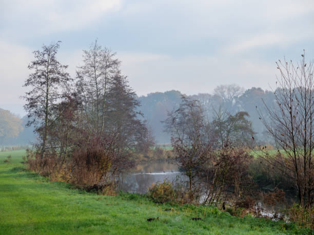 istock autumn at a river in germany 1191495704