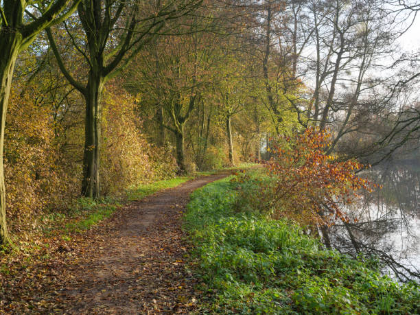 istock autumn at a river in germany 1191495757