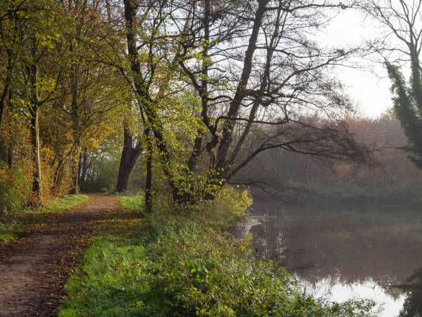 istock autumn at a river in germany 1191495854
