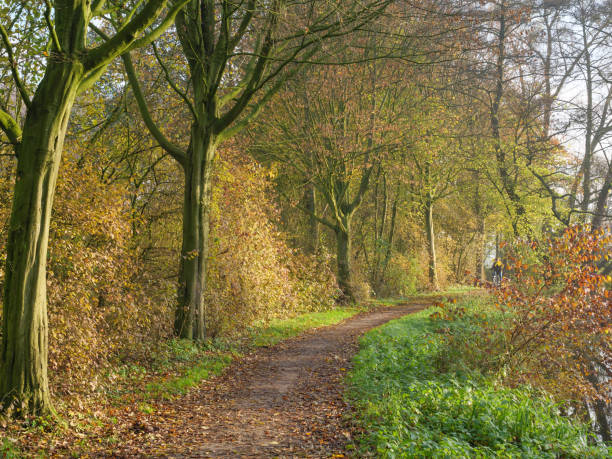 istock autumn at a river in germany 1191495906