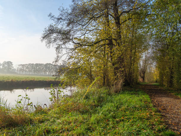 istock autumn at a river in germany 1191495972
