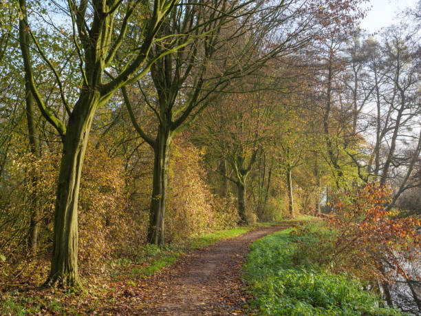 istock autumn at a river in germany 1191495984