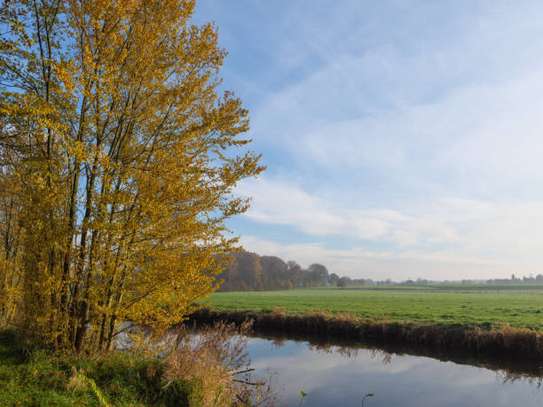 istock autumn at a river in germany 1191496155
