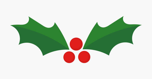 ilustraciones, imágenes clip art, dibujos animados e iconos de stock de icono de bayas de acebo de navidad. - mistletoe