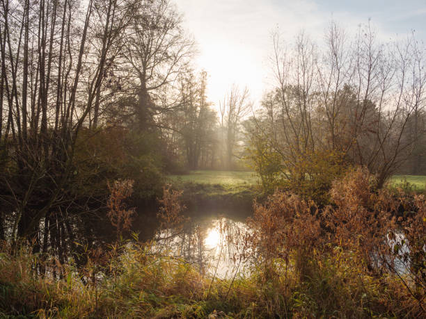 istock autumn at a river in germany 1191498315