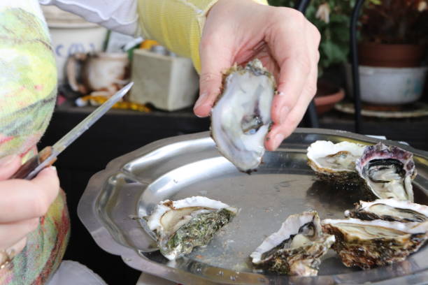 istock Hands of woman opening oysters 1191502184