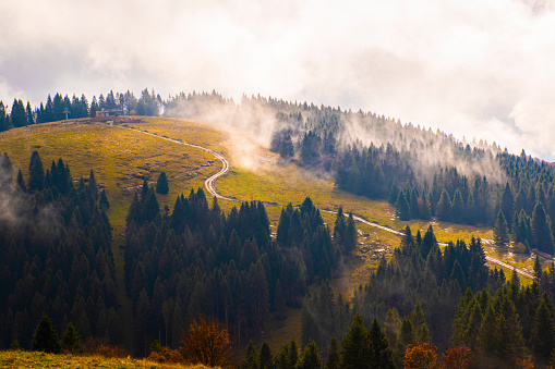 fog rises quietly among the trees and meadows in the beautiful mountains of the Asiago plateau near Vicenza, Italy.