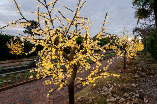 Belmont, North Carolina, USA - November 29, 2019: The Canal Garden at Daniel Stowe Botanical Garden glows during the annual Holidays at the Garden event. The Canal Garden is as long as a football field and includes a water feature framed by a fountain at each end. The display featured more than a million lights throughout over 12 acres of formal gardens. The light display has many family favorites including a fire pit with s’mores, family crafts, model trains, visit with Santa, an orchid tree and a coffee cafe. This event was part of Daniel Stowe Botanical Garden which is a 380 acre botanical garden founded by Daniel J. Stowe who was a textile executive.
