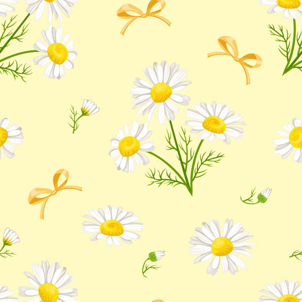 ilustraciones, imágenes clip art, dibujos animados e iconos de stock de camomiles blancas y arcos sobre el patrón sin costuras de fondo amarillo. ilustración floral vectorial en estilo plano simple de dibujos animados. flores de margarita y hojas verdes. - chamomile plant chamomile bouquet wildflower