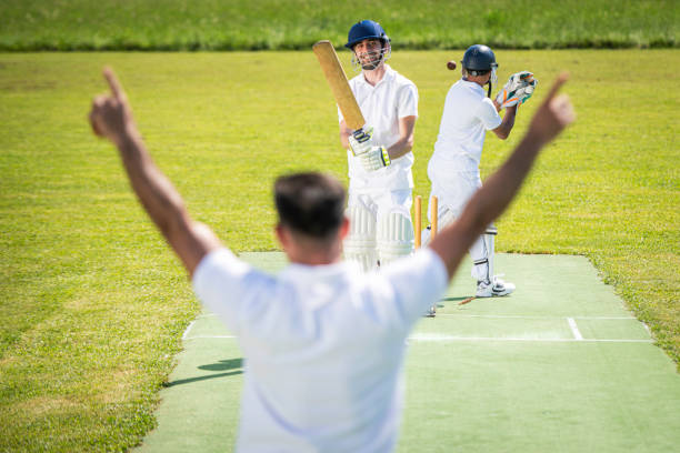 istock Cricket bowler with raised arms 1191513015