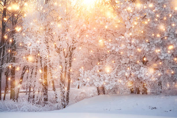 Scenic christmas background