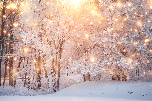 Scenic christmas background with colorful snowflakes and white snowy nature