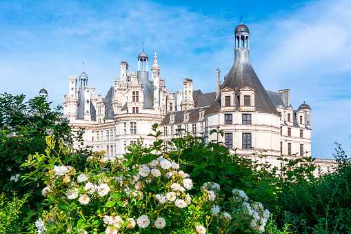 Weimar, Germany - May 3, 2023:  Vibrant spring flowers and manicured hedges in a serene public garden park located in Weimar, Germany, under a clear blue sky.