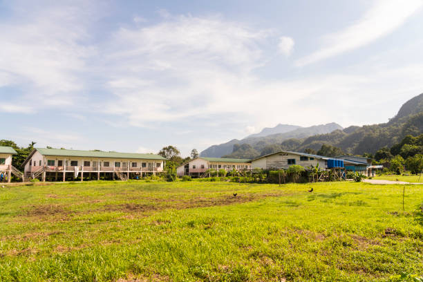 istock Longhouse in Borneo islands 1191520013