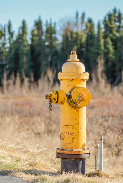 Yellow Fire Hydrant stock photo