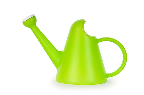 istock Watering can isolated on the white background 119152449