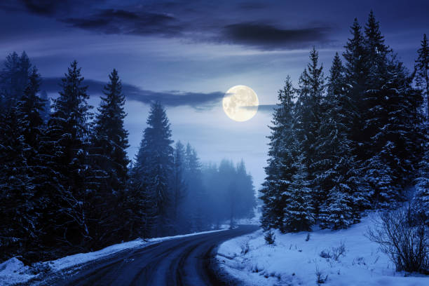 country road through forest at night stock photo