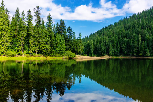 istock mountain lake in summertime 1191527744