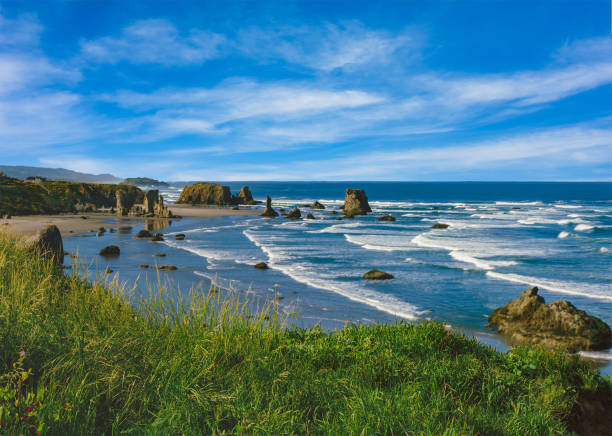 istock Oregon Coast at Bandon Beach 1191528806
