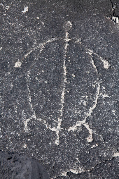 An ancient Hawaiian petroglyph carved into lava. Image is of a sea turtle.