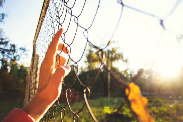 istock Hand on metal mesh lit by sun. 1191537663