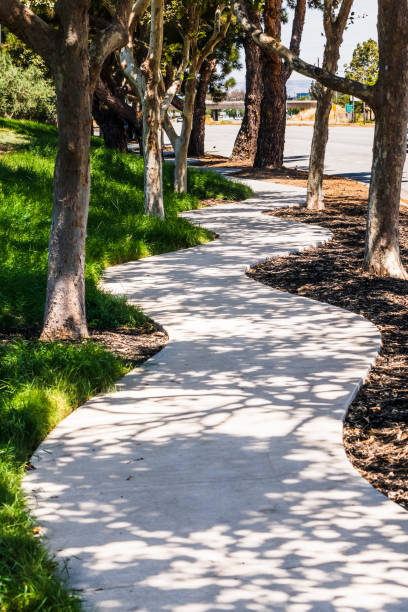 kręty chodnik wyłożony drzewami, przykład miejskiego krajobrazu - twisted tree california usa zdjęcia i obrazy z banku zdjęć