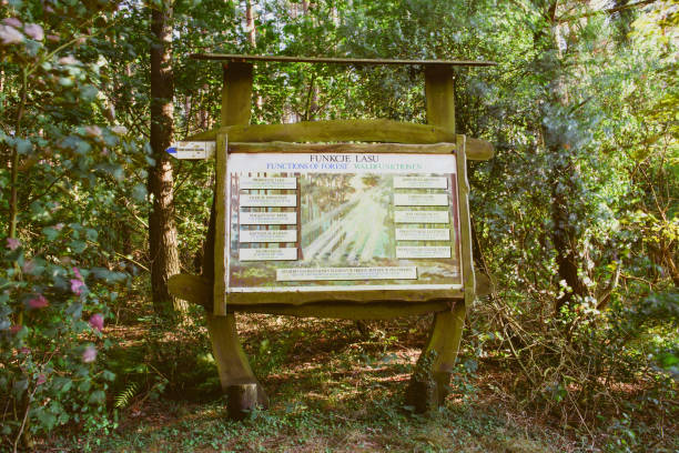 istock information boards in the forest. copy space. summer time 1191540221