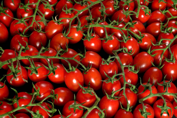 istock Group of small cherry tomatoes with green stems, top down view 1191540427