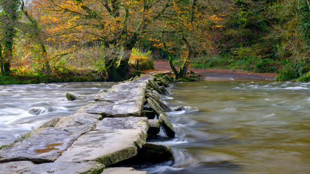 tarr steps z pełną rzeką barle i jesiennymi kolorami, exmoor - exmoor national park zdjęcia i obrazy z banku zdjęć