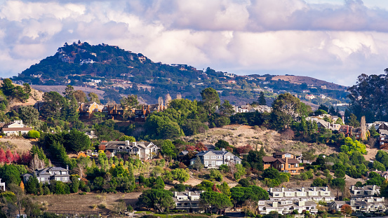 Aerial view of residential neighborhood with scattered houses build on hill slopes, Mill Valley, North San Francisco Bay Area, California