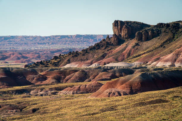 deserto dipinto e formazione rocciosa al petrified forest national park - holbrook foto e immagini stock