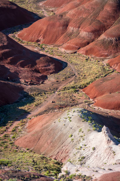 istock Dried up Stream Running Through Petrified Forest National Park 1191545681