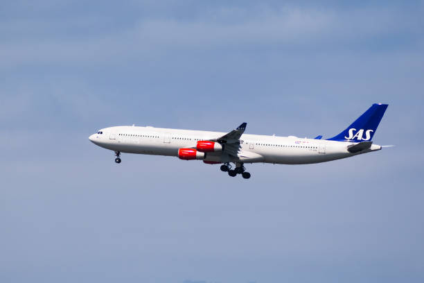 sas aircraft landing at san francisco international airport (sfo) - san francisco international airport san francisco bay area sfo airplane imagens e fotografias de stock