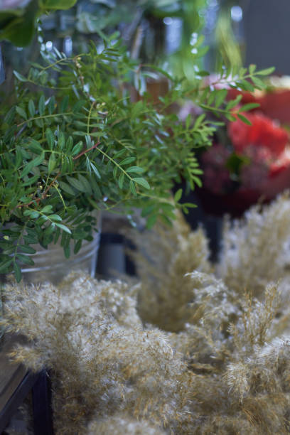 istock Close-up flower shop window with exotic flowers, selective focus 1191552582