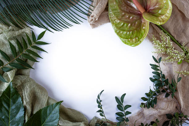 istock Green tropical leaves branches on white background flat lay. 1191554311