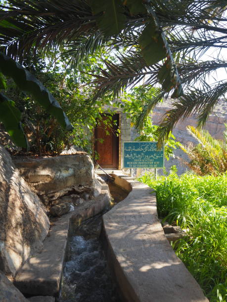 오만의 미스팻 알 아브레엔 마을의 팜 그로브에 있는 수영장 - misfat al abriyeen 뉴스 사진 이미지