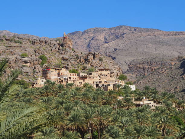 오만의 미스팻 알 아브레엔 마을의 팜 그로브 - misfat al abriyeen 뉴스 사진 이미지
